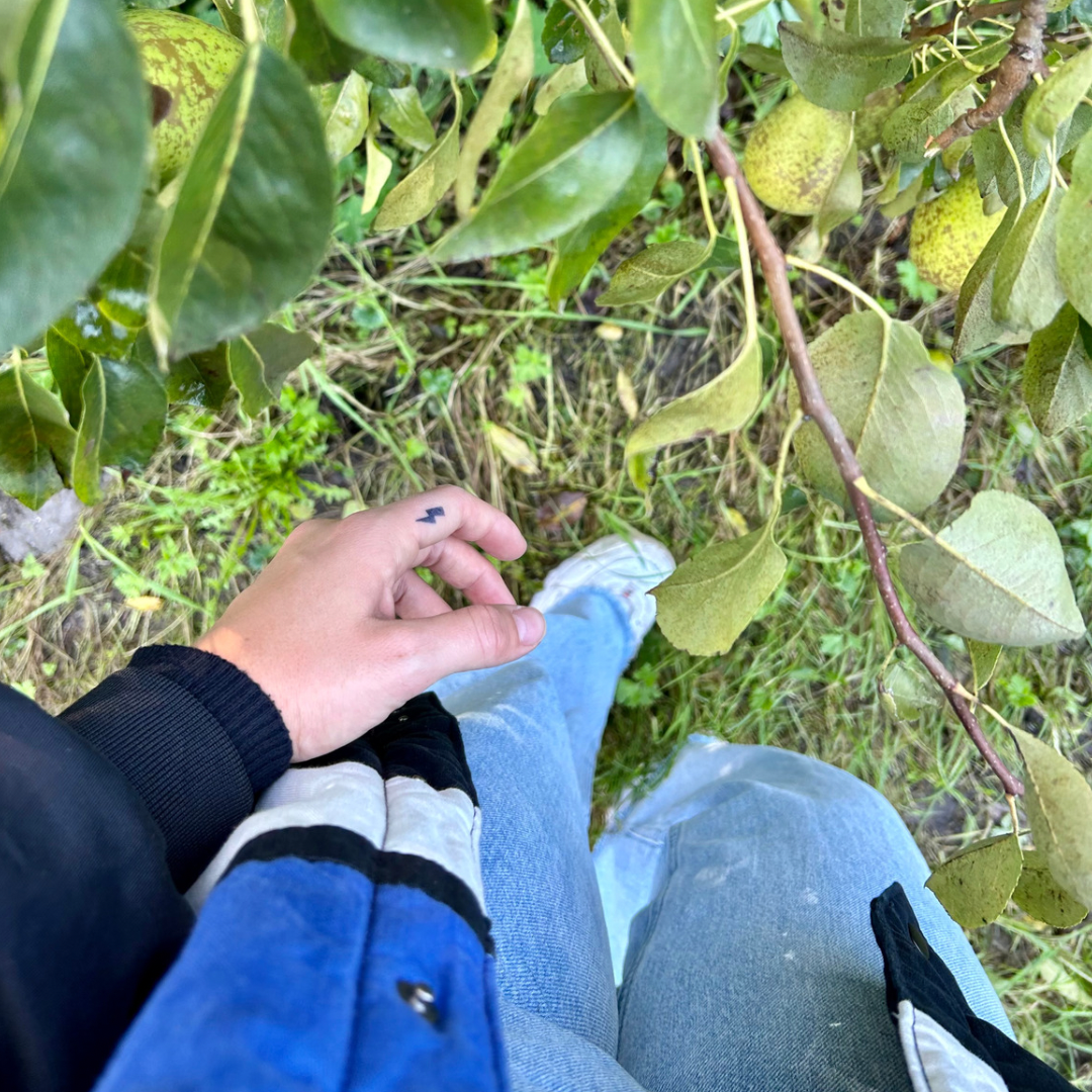 Tillfällig tatueringsblixt